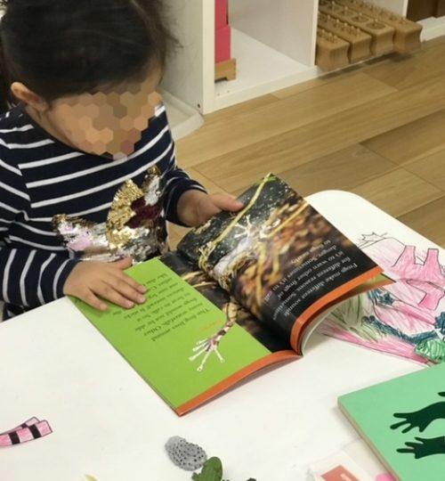 Montessori Tsukuba (モンテッソーリつくば)-reading-IMG_1949