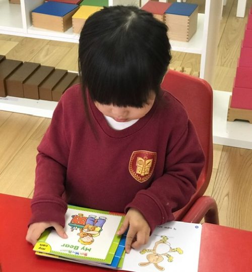 Montessori Tsukuba (モンテッソーリつくば)-reading-IMG_5859