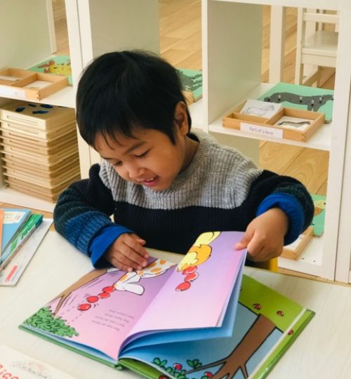 Montessori Tsukuba (モンテッソーリつくば)-reading-IMG_E6190