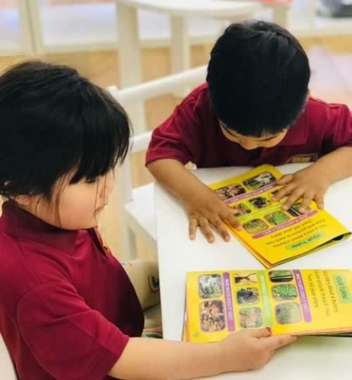 Montessori Tsukuba (モンテッソーリつくば)-reading-IMG_E8047