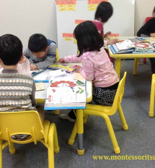 Montessori Tsukuba Reading モンテッソーリ つくば 7